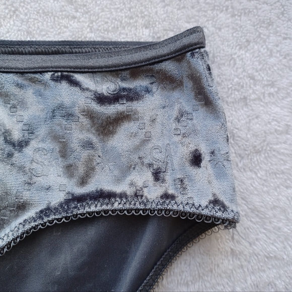 Victoria's Secret Gray Velvet Panties, Size S - Picture 3 of 9
